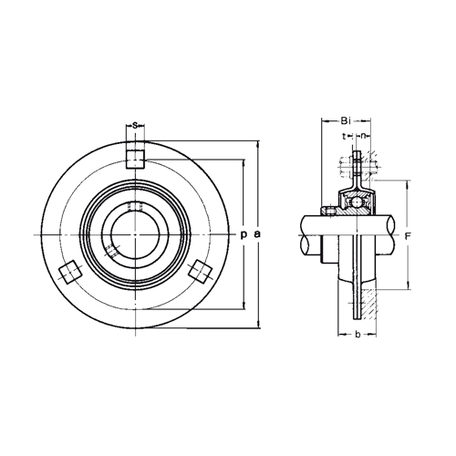 İki delikli flanşlı yatak BPFL 200, hafif hizmet tipi, setskurlu kilitleme, sıkma bilezikli B200